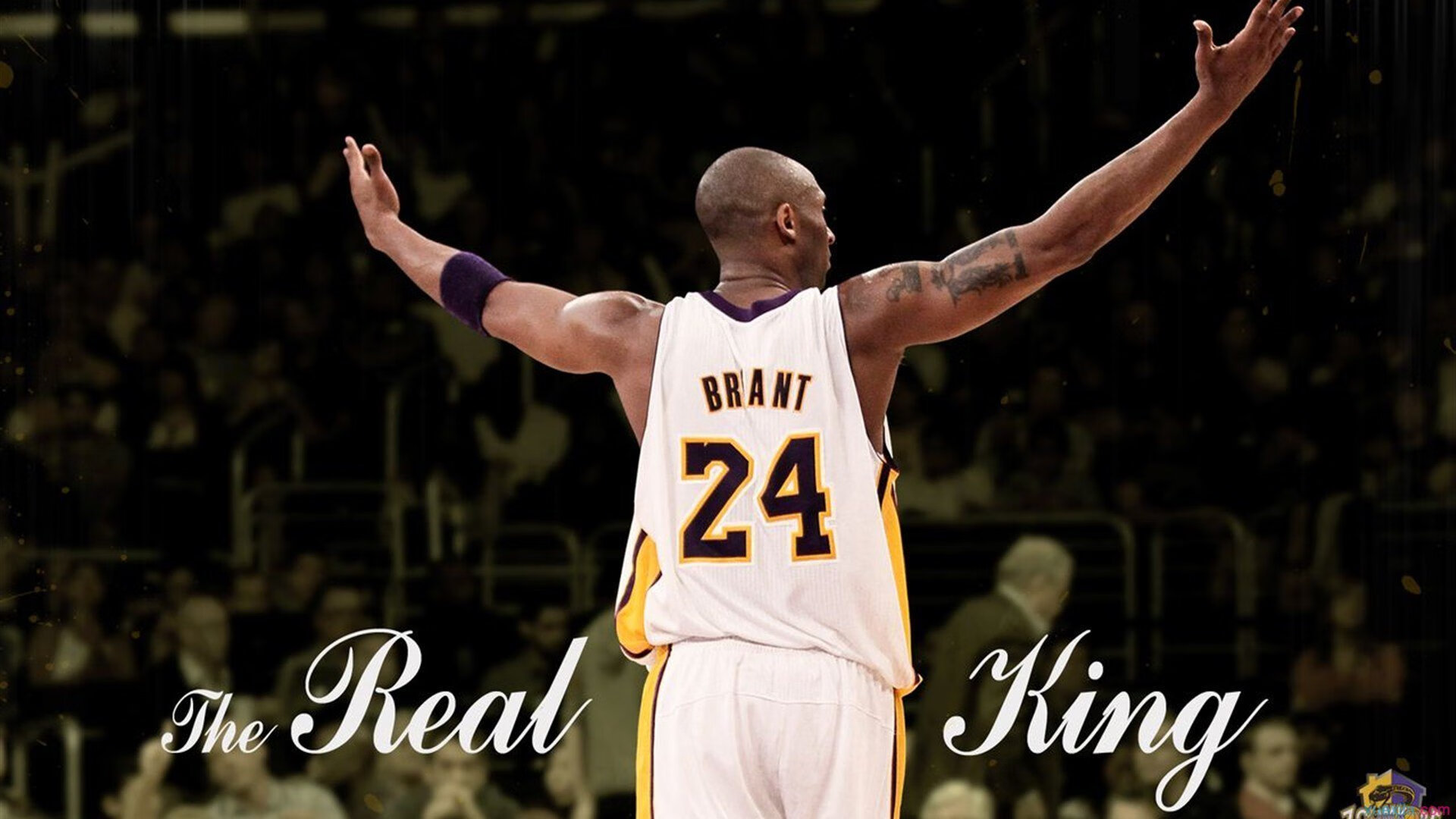 南方巨浪，当广东队撕碎火箭的防线，拉文在欧冠之巅书写孤胆传奇